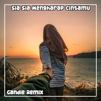 Gandie Remix's cover