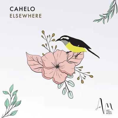 Bananaquit By Cahelo's cover