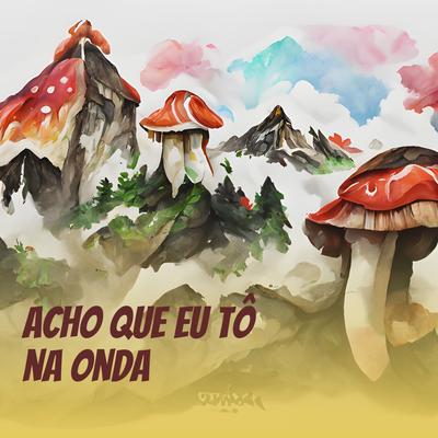 Acho Que Eu Tô na Onda By Mc Leléto's cover