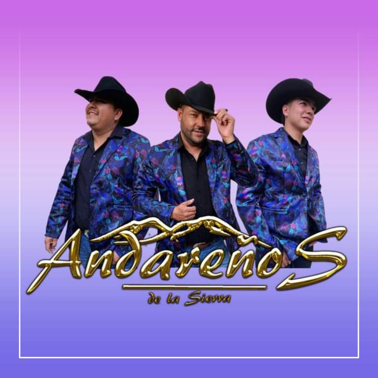 Andareños de la Sierra's avatar image
