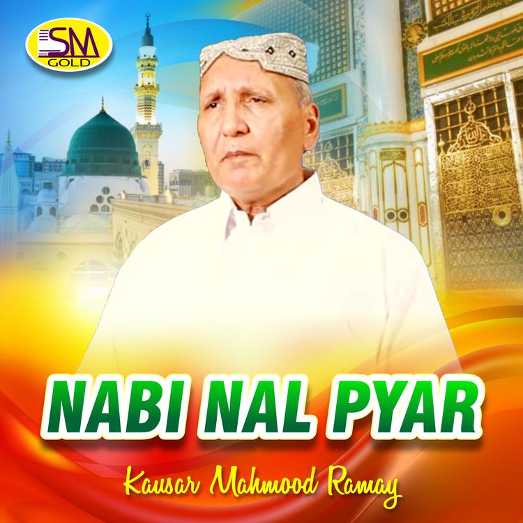 Kausar Mahmood Ramay's avatar image