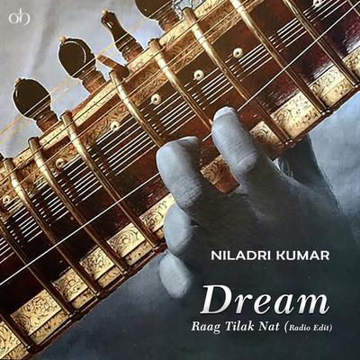 Dream (Raag Tilak Nat) [Radio Edit]'s cover