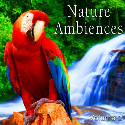 Rain Forest Ambience with Medium Distant Bird Chirps and Crickets with Sporadic Close up Exotic Bird Calls and Distant Howler Monkey By The Hollywood Edge Sound Effects Library's cover