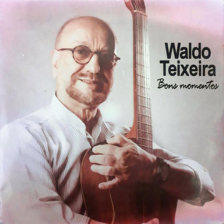 WALDO TEIXEIRA's avatar image