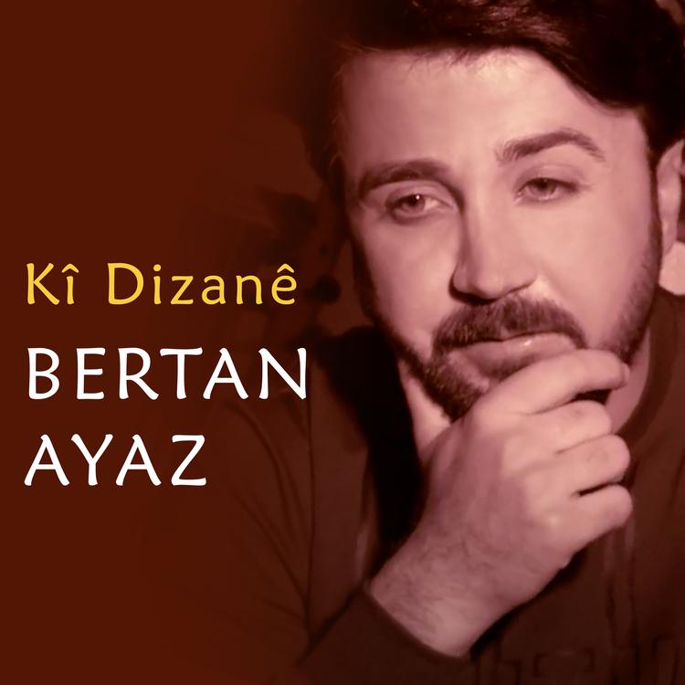 Bertan Ayaz's avatar image