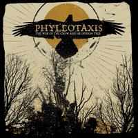 Phyllotaxis's avatar cover