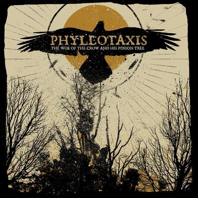 Phyllotaxis's cover