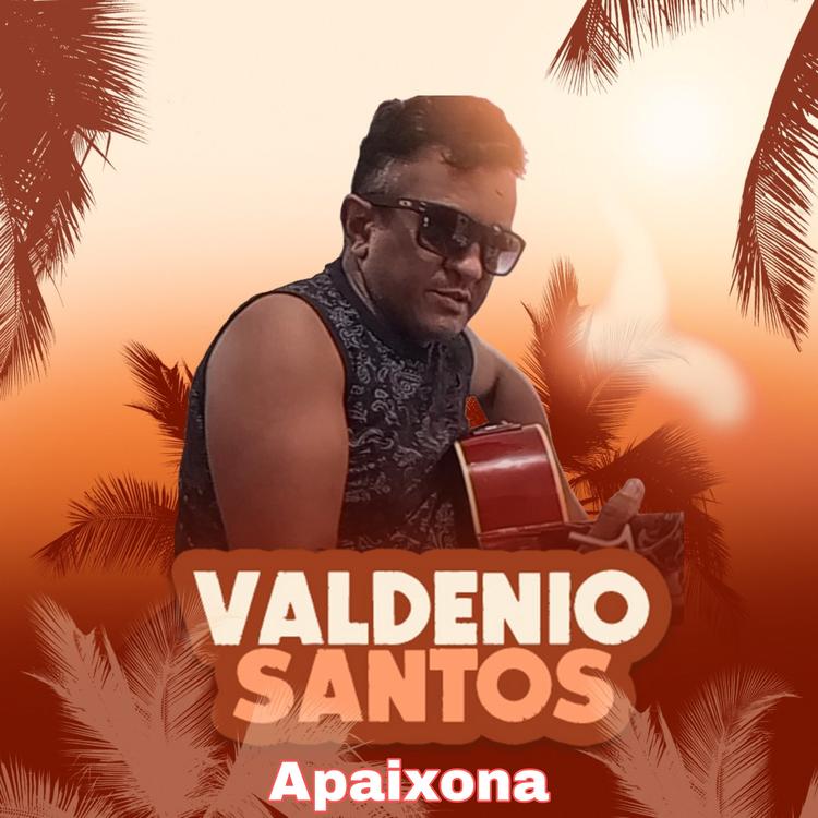 Valdenio Santos's avatar image