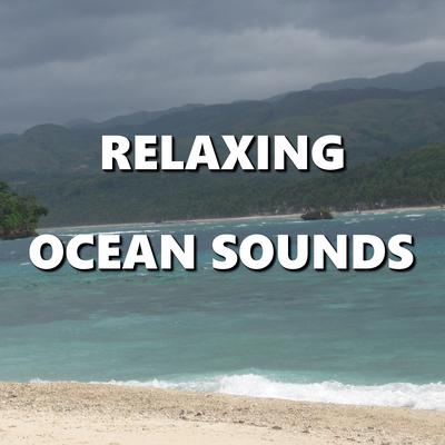 Enchanting Hawaii Beach Waves's cover