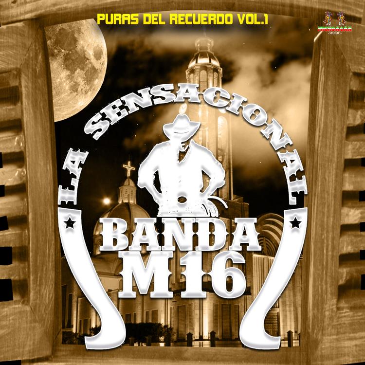 La Sensacional Banda M-16's avatar image