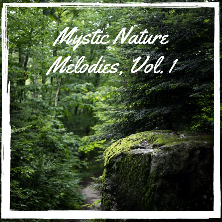 Naturalist Melodies's avatar image