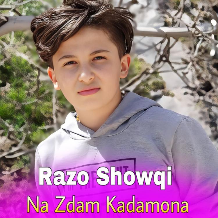 Razo Showqi's avatar image