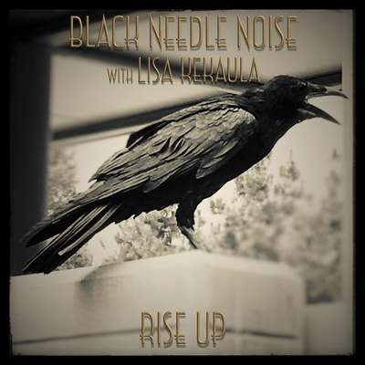 Black Needle Noise's cover