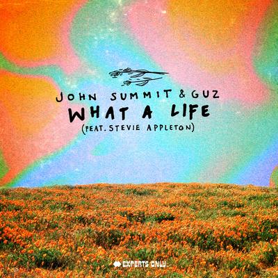 What A Life (feat. Stevie Appleton)'s cover