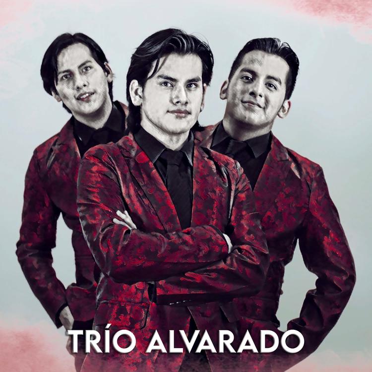 Trío Alvarado's avatar image