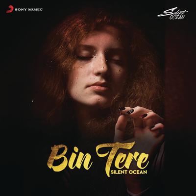 Bin Tere (Lofi Flip)'s cover