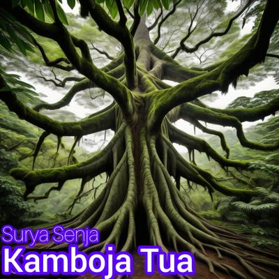 Kamboja Tua's cover