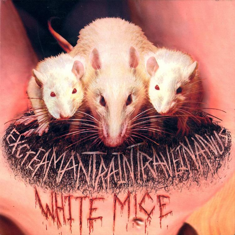 The White Mice's avatar image
