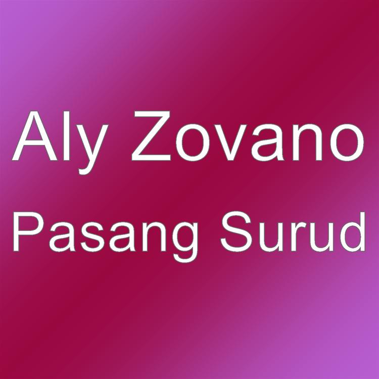 Aly Zovano's avatar image