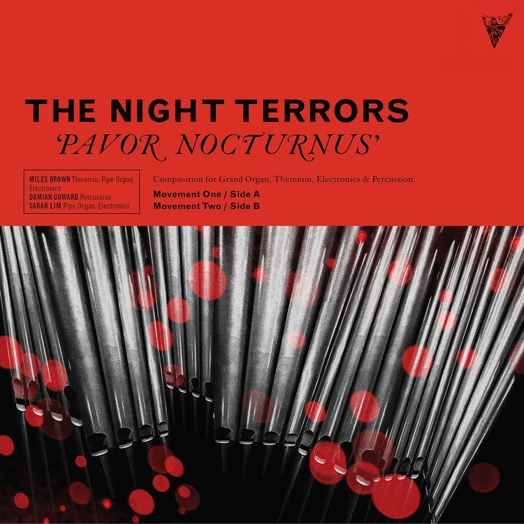 The Night Terrors's avatar image