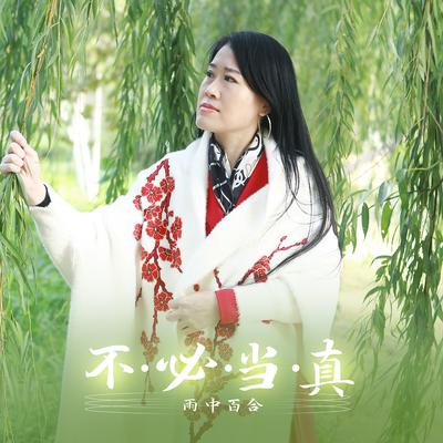 不必当真's cover