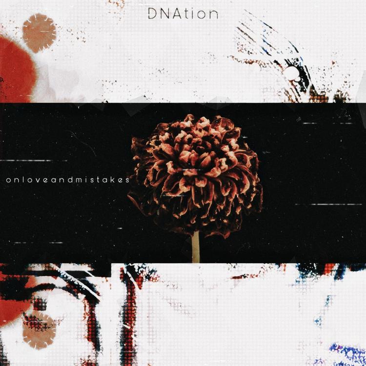 Dnation's avatar image