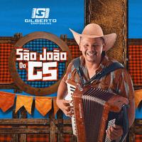 Gilberto Sanfoneiro's avatar cover