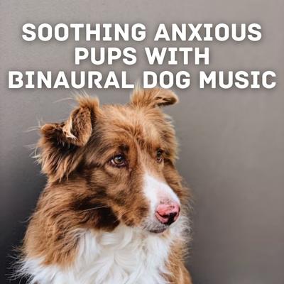 Gentle Whisker Whisper By Binaural Beats MT, Dog Music Radio, Dog Total Relax's cover