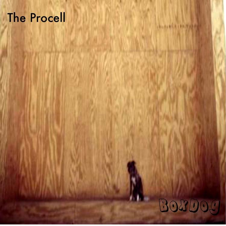 The Procell's avatar image