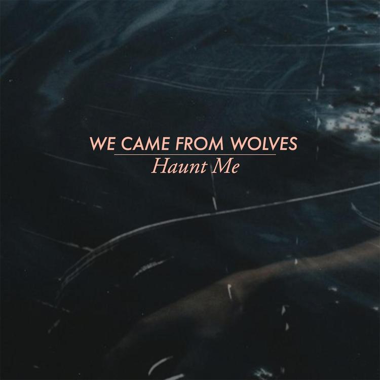 We Came from Wolves's avatar image