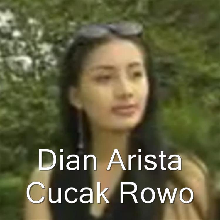 Dian Arista's avatar image