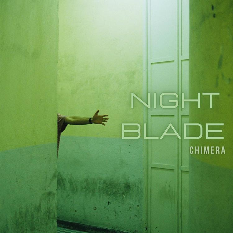 Night Blade's avatar image