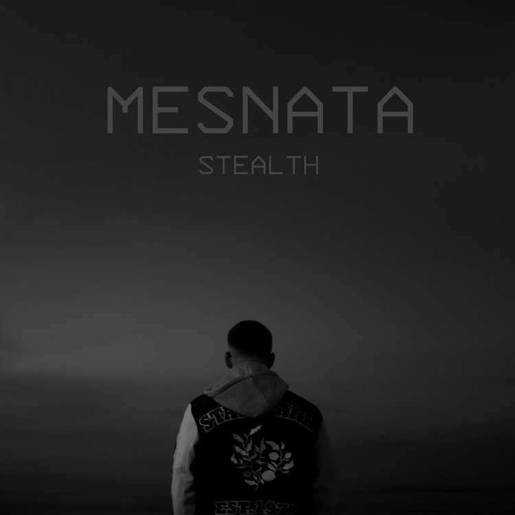 Stealth's avatar image