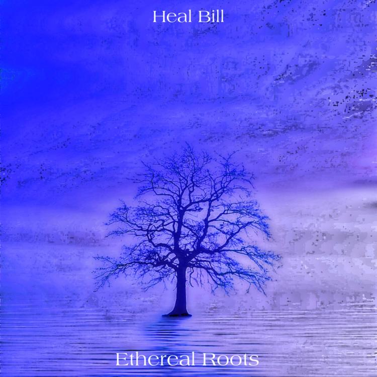 Heal Bill's avatar image