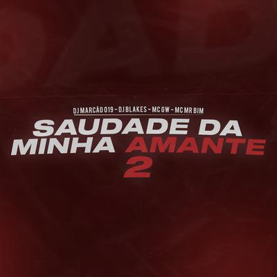 Saudade da Minha Amante 2's cover