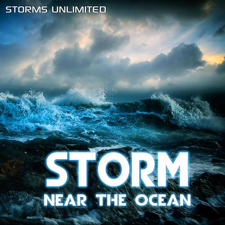 Storms Unlimited's avatar image