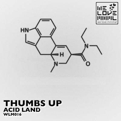 Acid Land (Original Mix)'s cover
