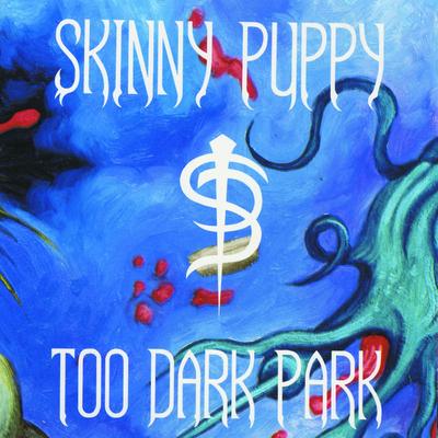 Grave Wisdom By Skinny Puppy's cover