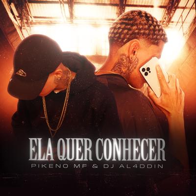 Ela Quer Conhecer's cover