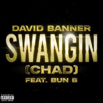 Swangin (Chad)'s cover