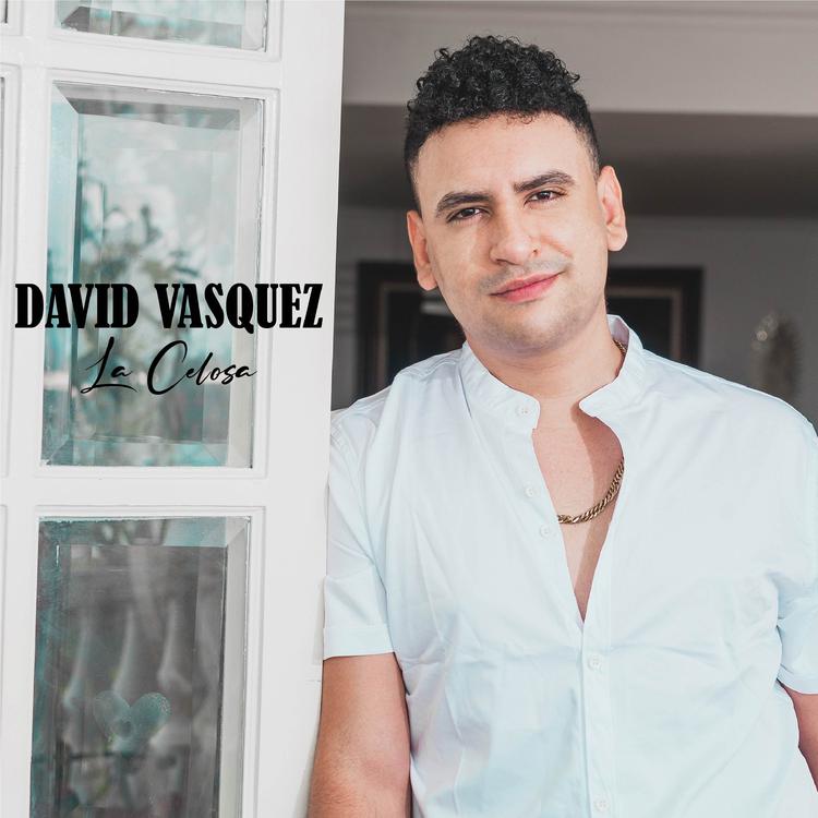 David Vasquez's avatar image