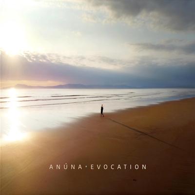 Evocation VI (Wake Me) By ANÚNA, Michael McGlynn's cover