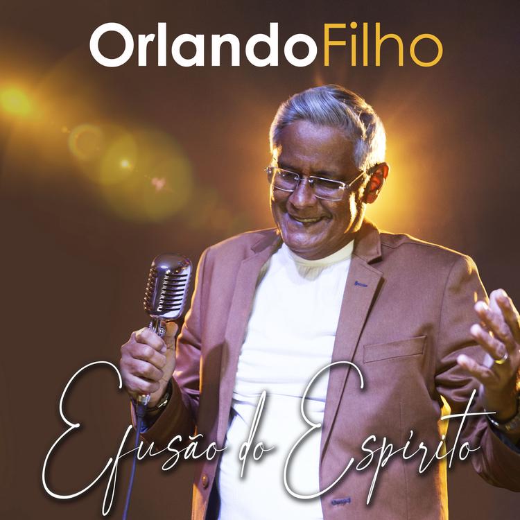 Orlando Filho's avatar image