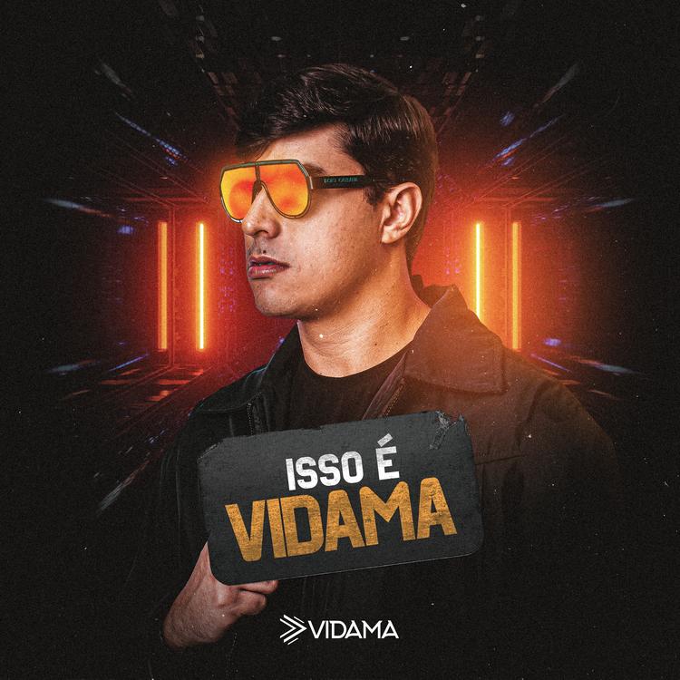 Vidama's avatar image