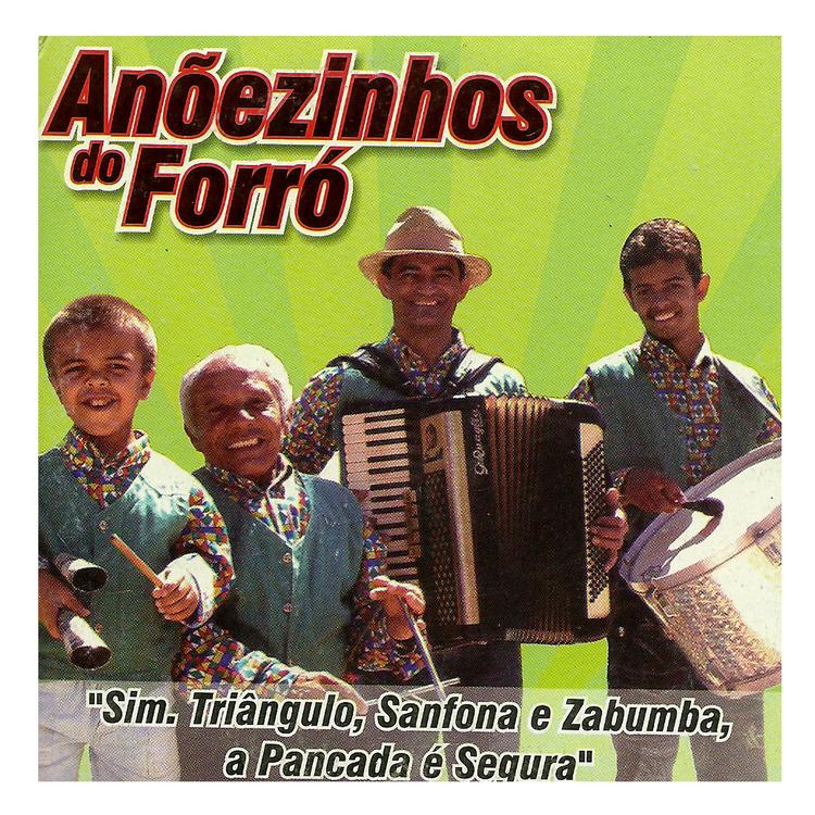 ANÕESZINHOS DO FORRÓ's avatar image