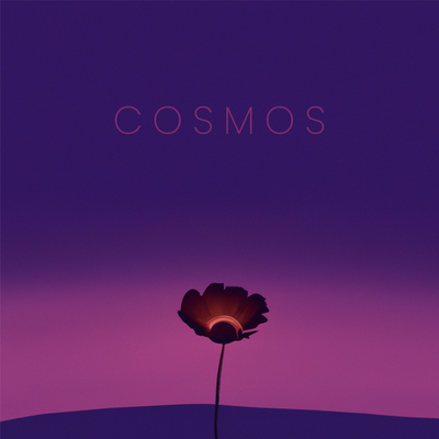 Cosmos By Yavani's cover