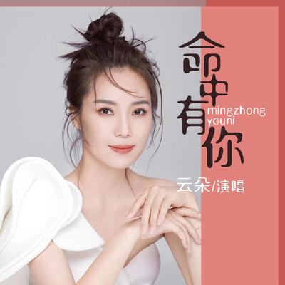 命中有你's cover