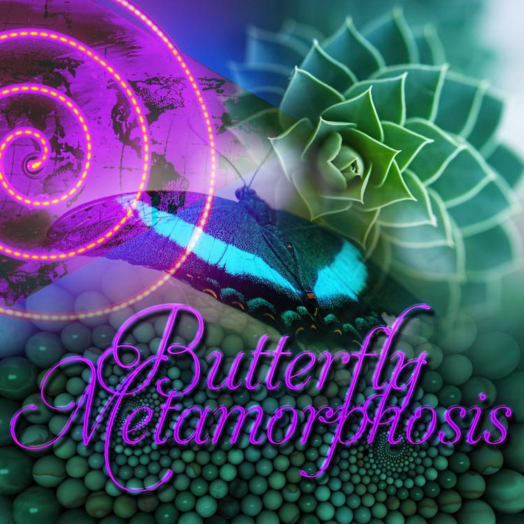 Butterfly Metamorphosis Masters's avatar image