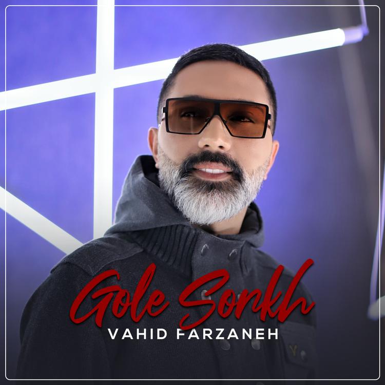 Vahid Farzaneh's avatar image