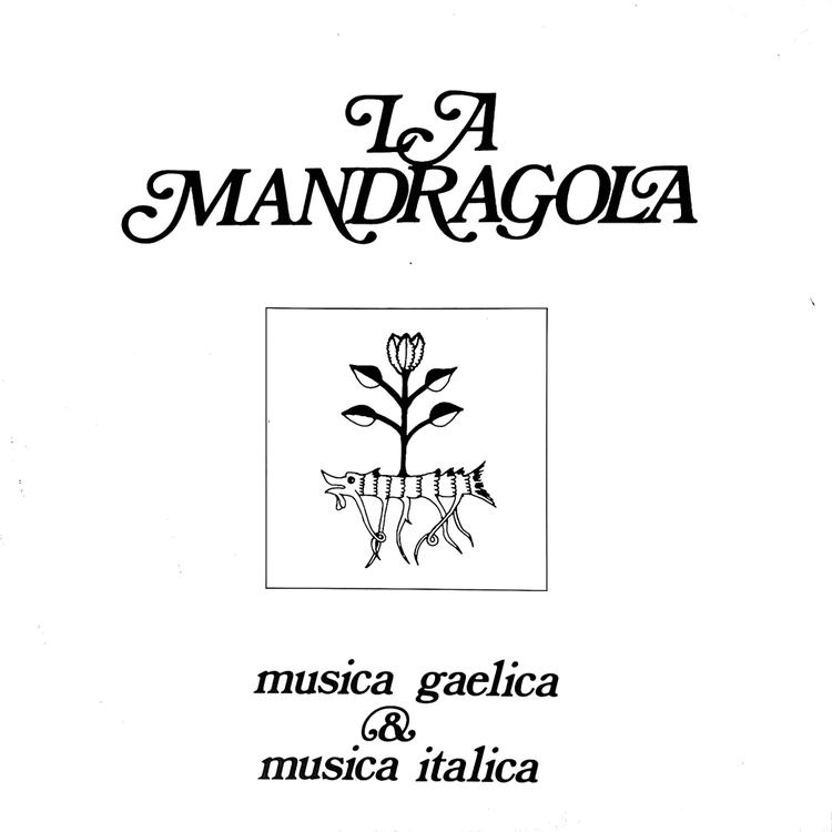 La Mandragola's avatar image